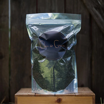 CHIA DE GRACIA STINGING NETTLE