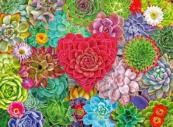Succulent Love, 500 Bitar Ravensburger