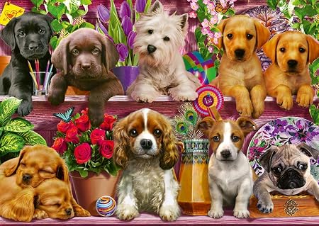 Puppies on the Shelf, 500 Bitar Schmidt