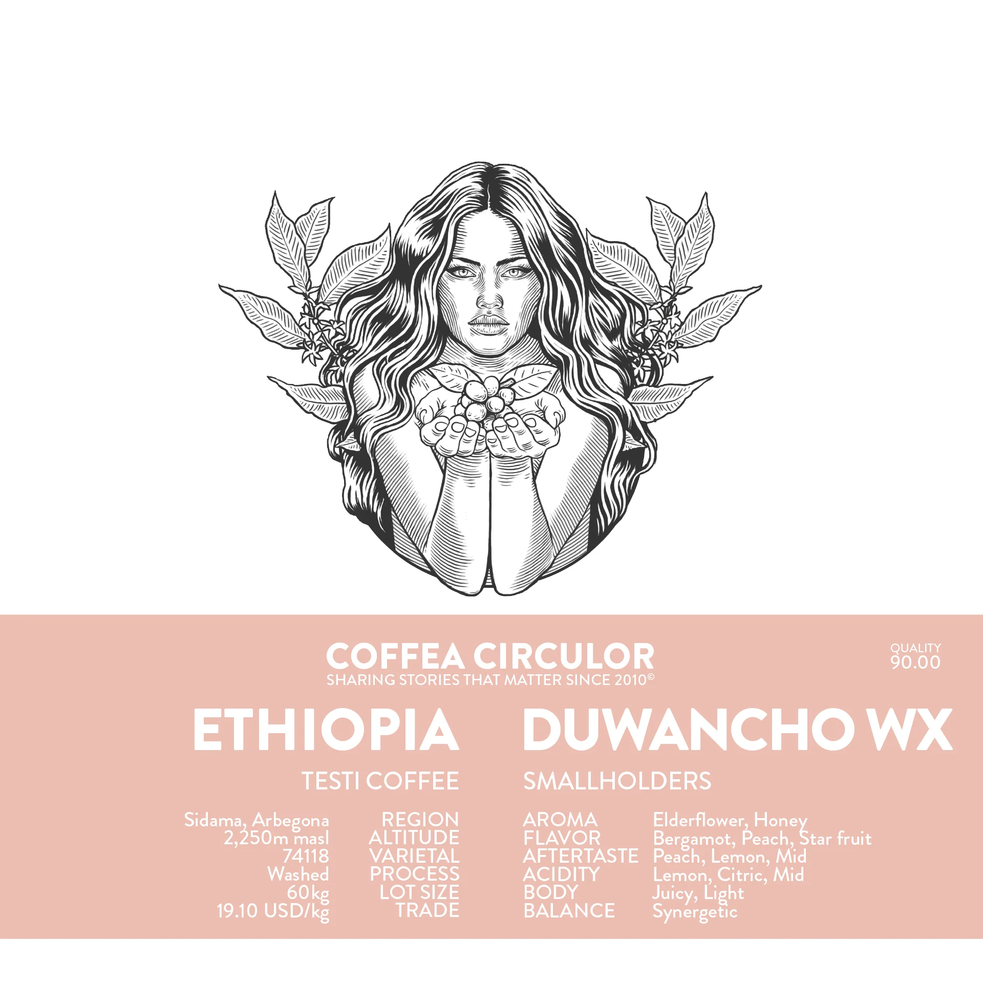 Coffea Circulor - Duwancho WX - Washed - Etiopien - Ljusrostade hela kaffebönor - 250g