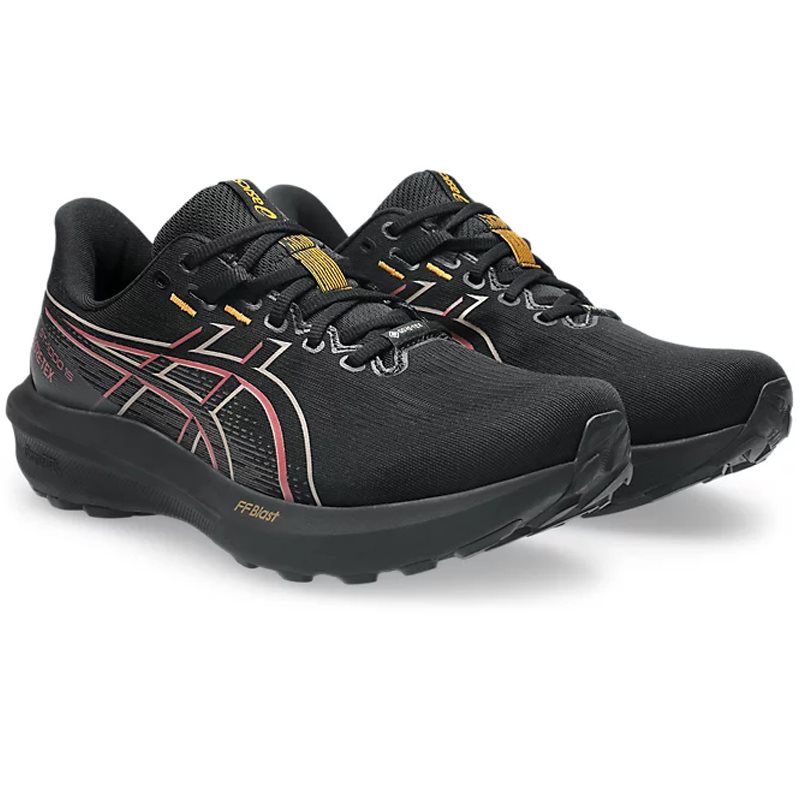 Asics GT-1000 15 Gore-Tex M Löparskor - 2