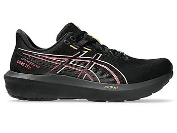 Asics GT-1000 15 Gore-Tex M Löparskor