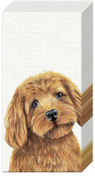 Pappersnäsdukar Hund