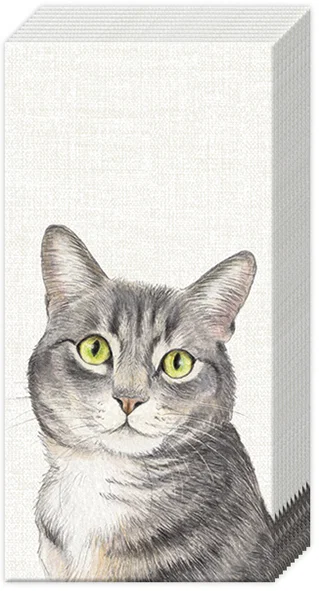 Pappersnäsdukar Katt