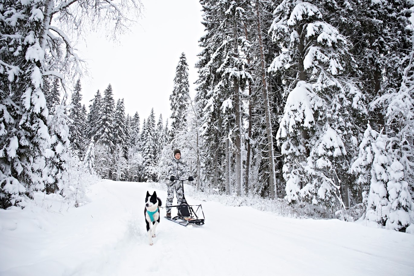Esla Adventure Spark och Hundsläde Svart - PÅ VÅRT LAGER  VECKA 45-46!    - 4