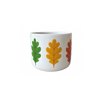 Mugg Ek, 30 cl