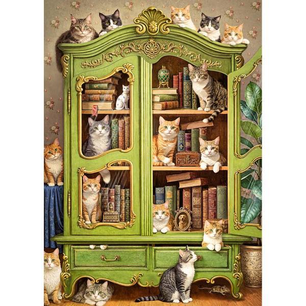 Hidden Archives, 1000 Bitar CherryPazzi