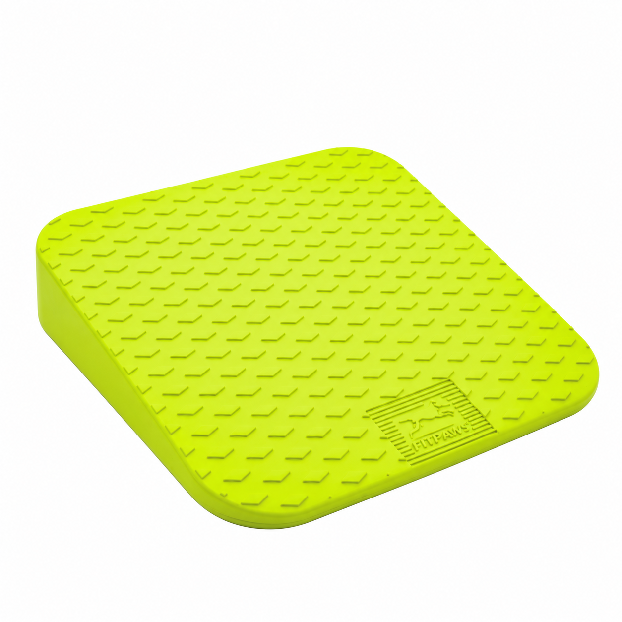 FitPAWS –  Balance Ramp