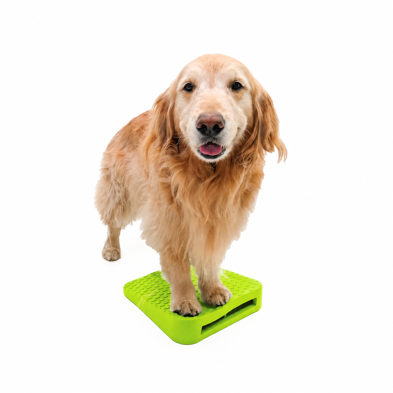 FitPAWS –  Balance Ramp - 4