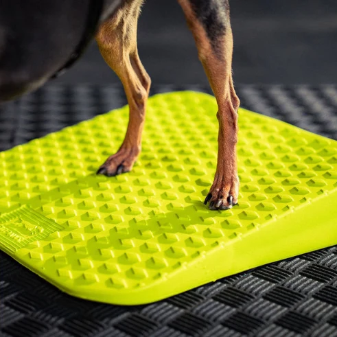 FitPAWS –  Balance Ramp - 6