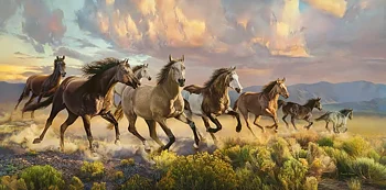 Thunder Prairie, 4000 Bitar Castorland