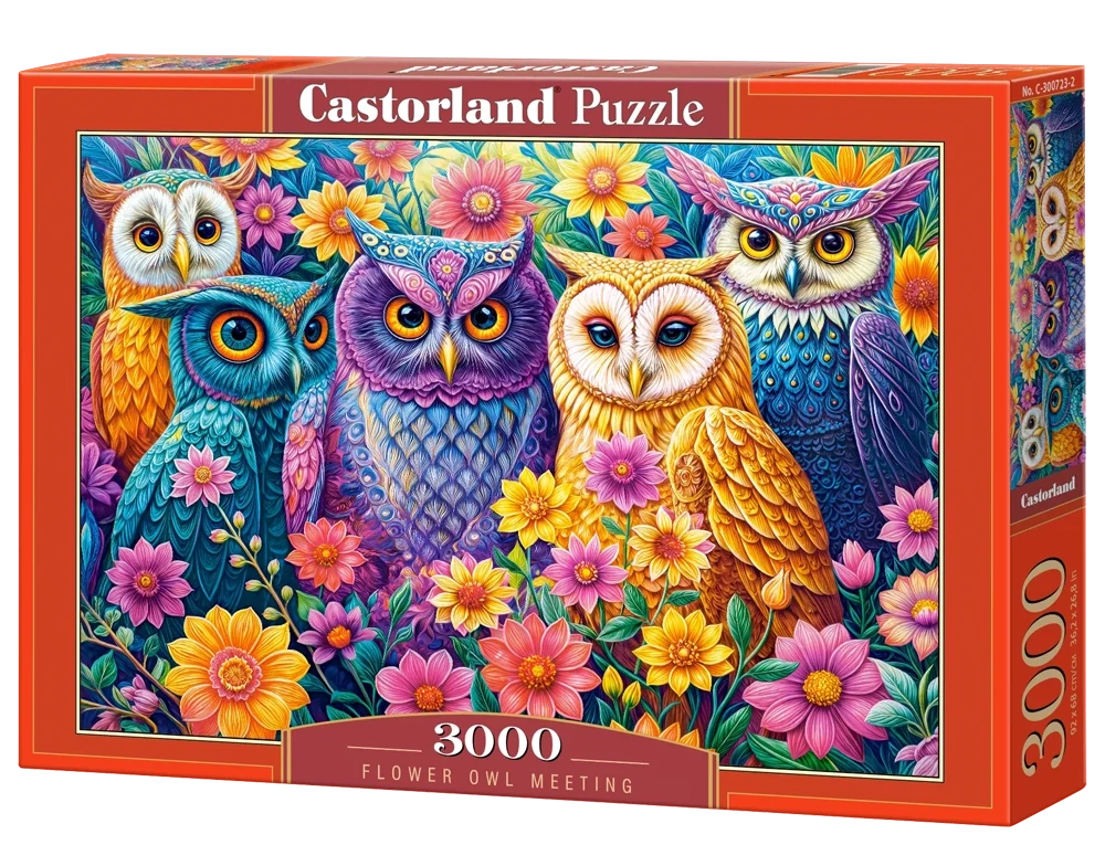 Flower Owl Meeting, 3000 Bitar Castorland - 2