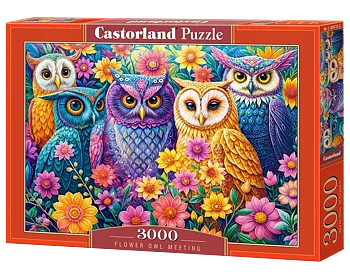 Flower Owl Meeting, 3000 Bitar Castorland