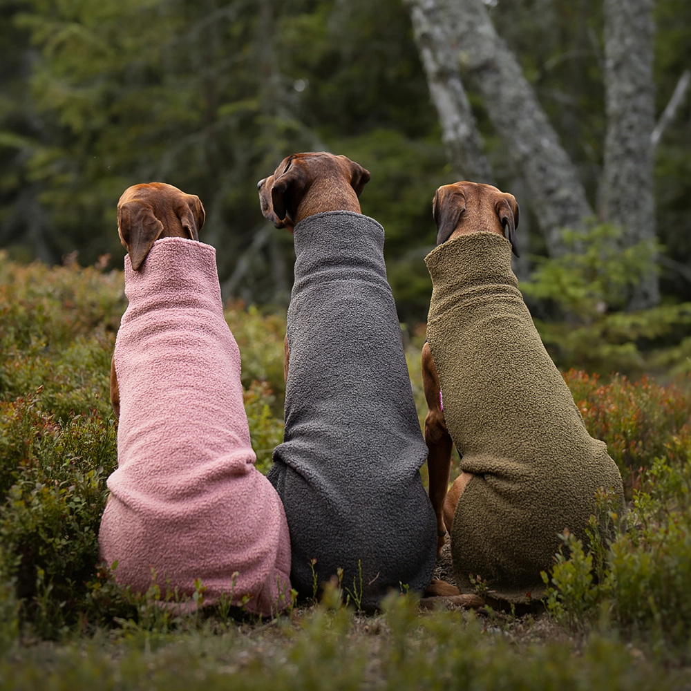 Pomppa Polar teddytäcke tjockare fleecetäcke till hund