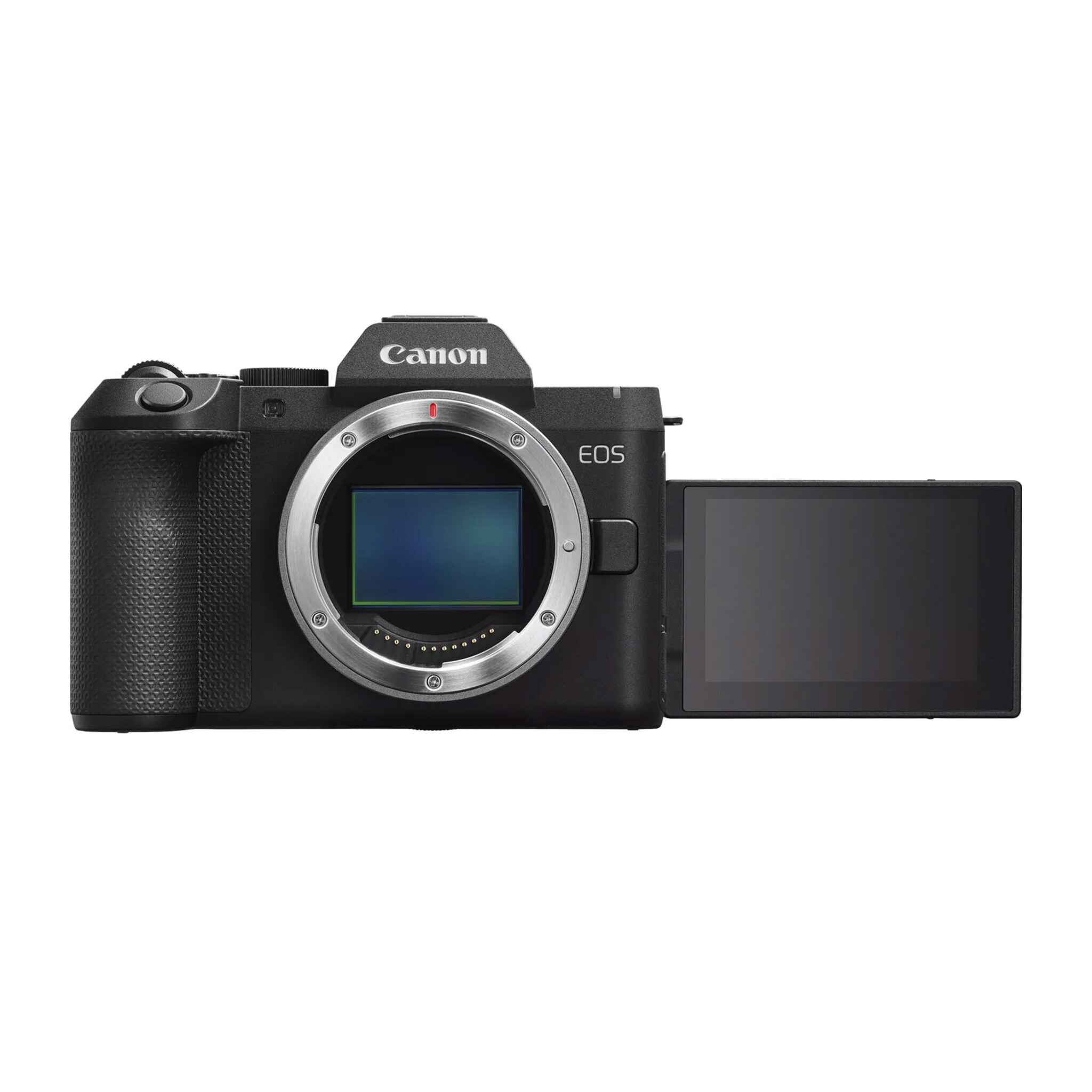Canon EOS R8 Mark II - 3