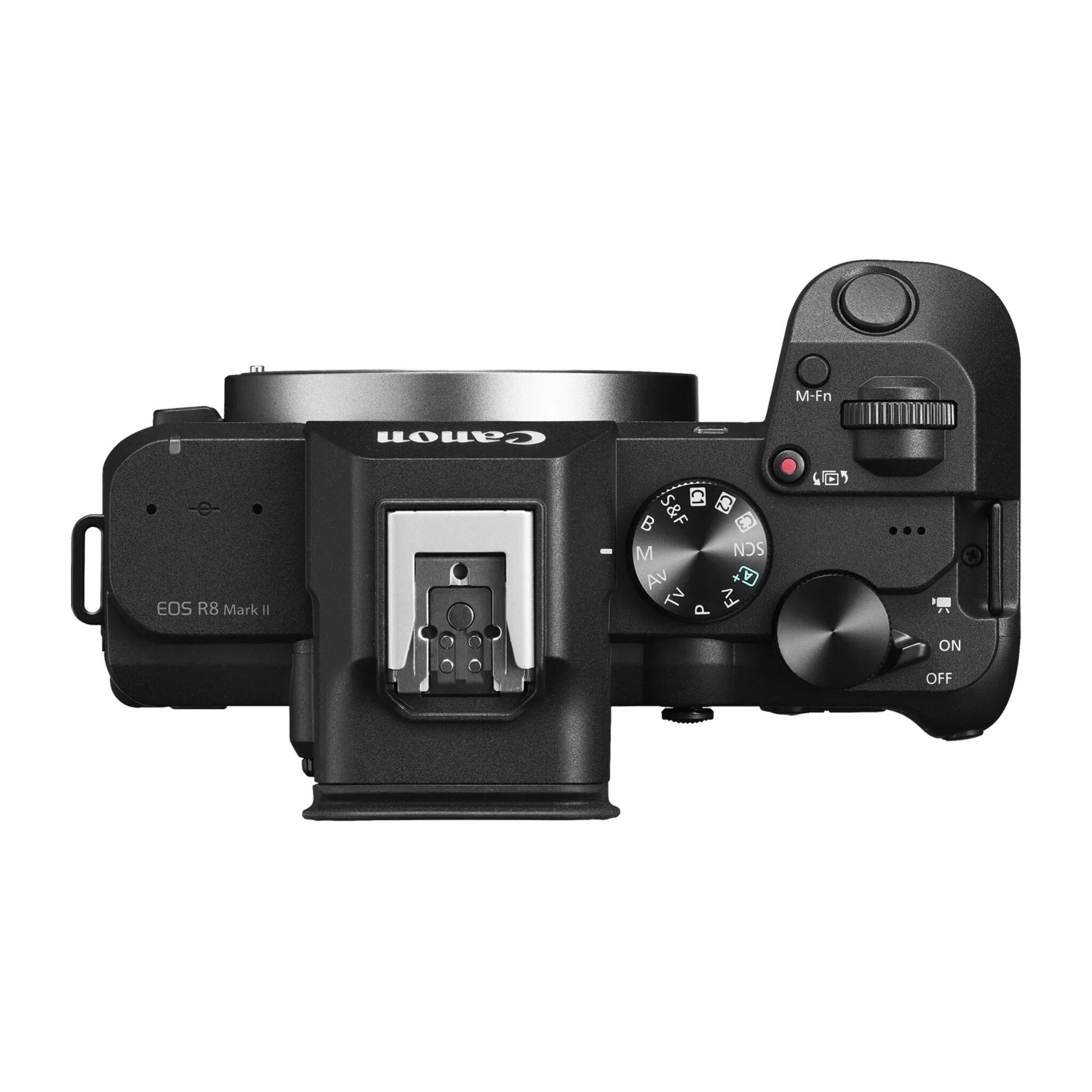 Canon EOS R8 Mark II - 4