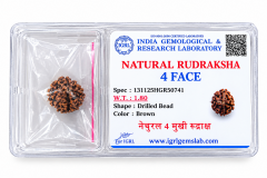 Enkelt Rudraksh 4 Mukhi- Natural - 3