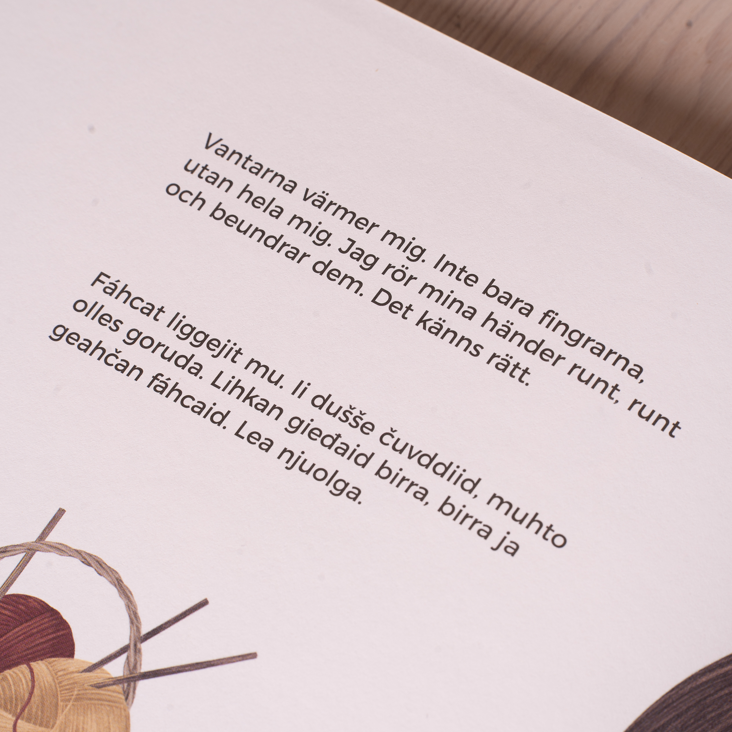 Barnbok Vantar som Viskar Fáhcat mat Savkkástallet - 5