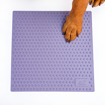 FitPAWS –  Trax Targets 