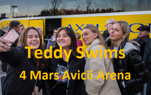Teddy Swims: The UGLY Tour  - 4 Mars -  Avicii Arena