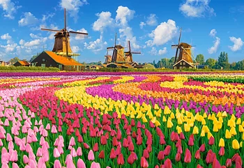 Dutch Windmills Among Tulips, 1000 Bitar Castorland