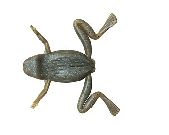 Imakatsu Finesse Frog Elastomer 3.5" 3-pack