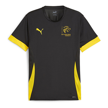 Puma Teamgoal Matchday Jersey Jr (Knäred IK Pickleball)