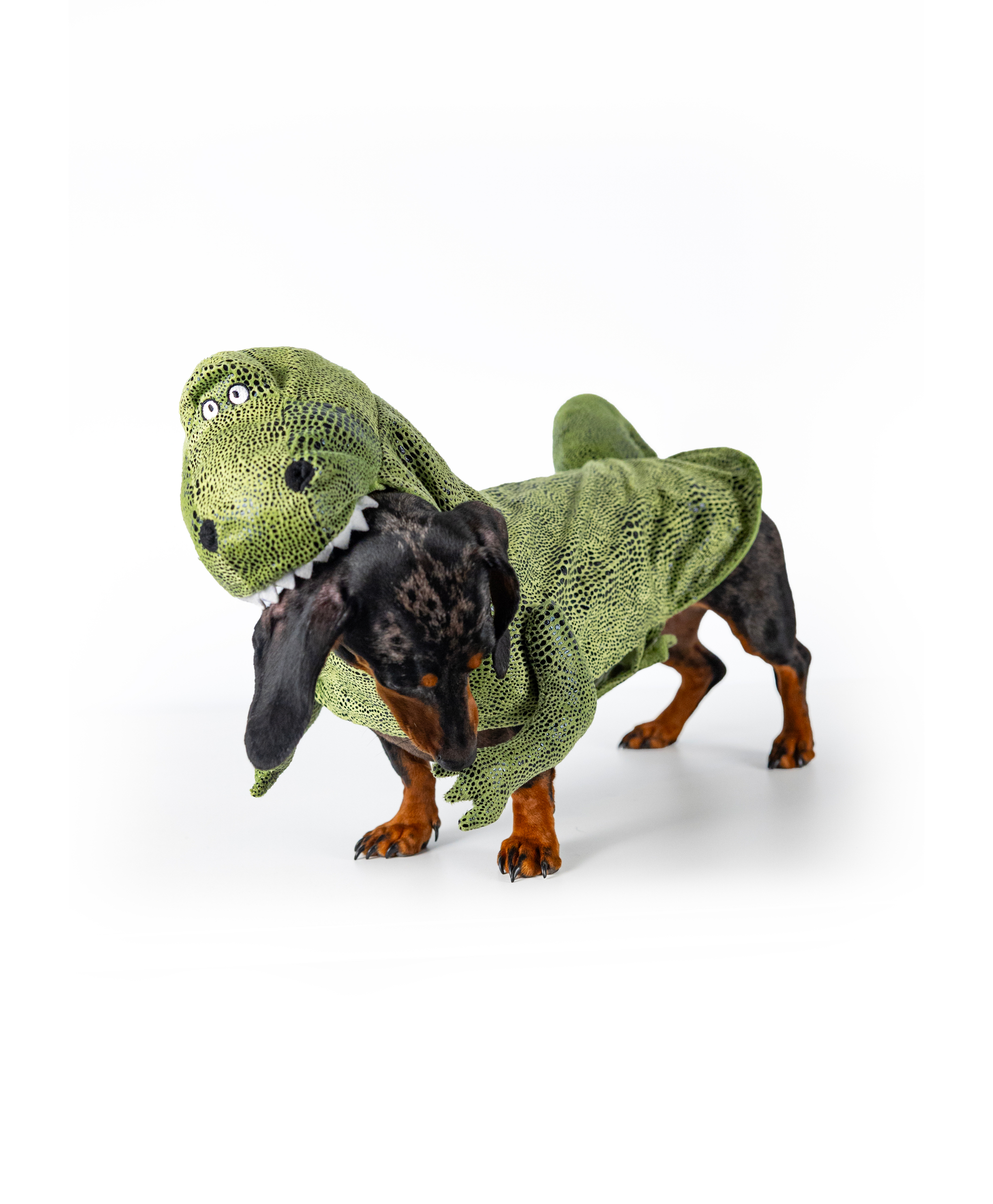 Hund med dinosarie-maskeradkostym