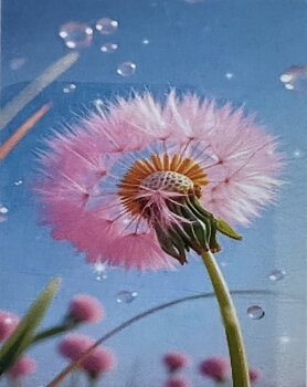 Rosa Önskning Diamond Picture, Diamond Painting