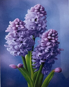 Hyacinter Diamond Picture, Diamond Painting