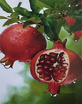 Granatäpple på Gren Diamond Picture, Diamond Painting