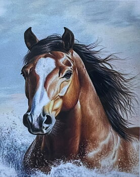 Häst i Bad Diamond Picture, Diamond Painting