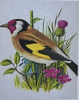 Ängsfågel Diamond Picture, Diamond Painting