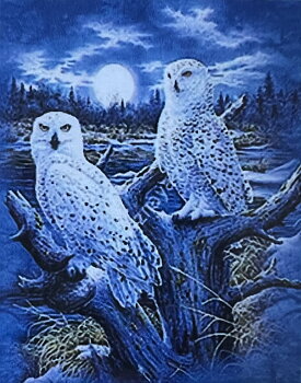 Nattugglor Diamond Picture, Diamond Painting
