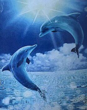 Delfiner i Månljus Diamond Picture, Diamond Painting