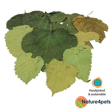 Ceramic Nature - Mulberry leaves 10st