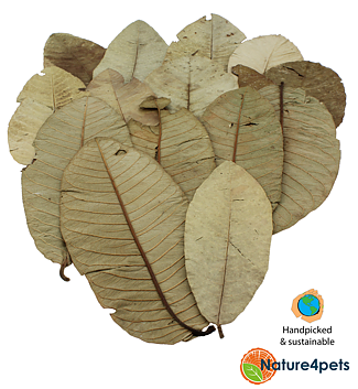 Ceramic Nature - Guave leaves 15st