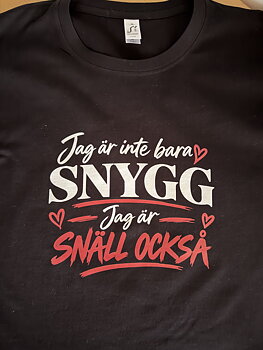 Snygg- tishan 