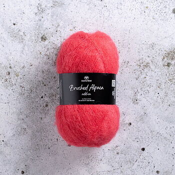 Brusched Alpacka Add-On 11 High Risk Red