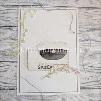 Gummiapan dies - Student/examen