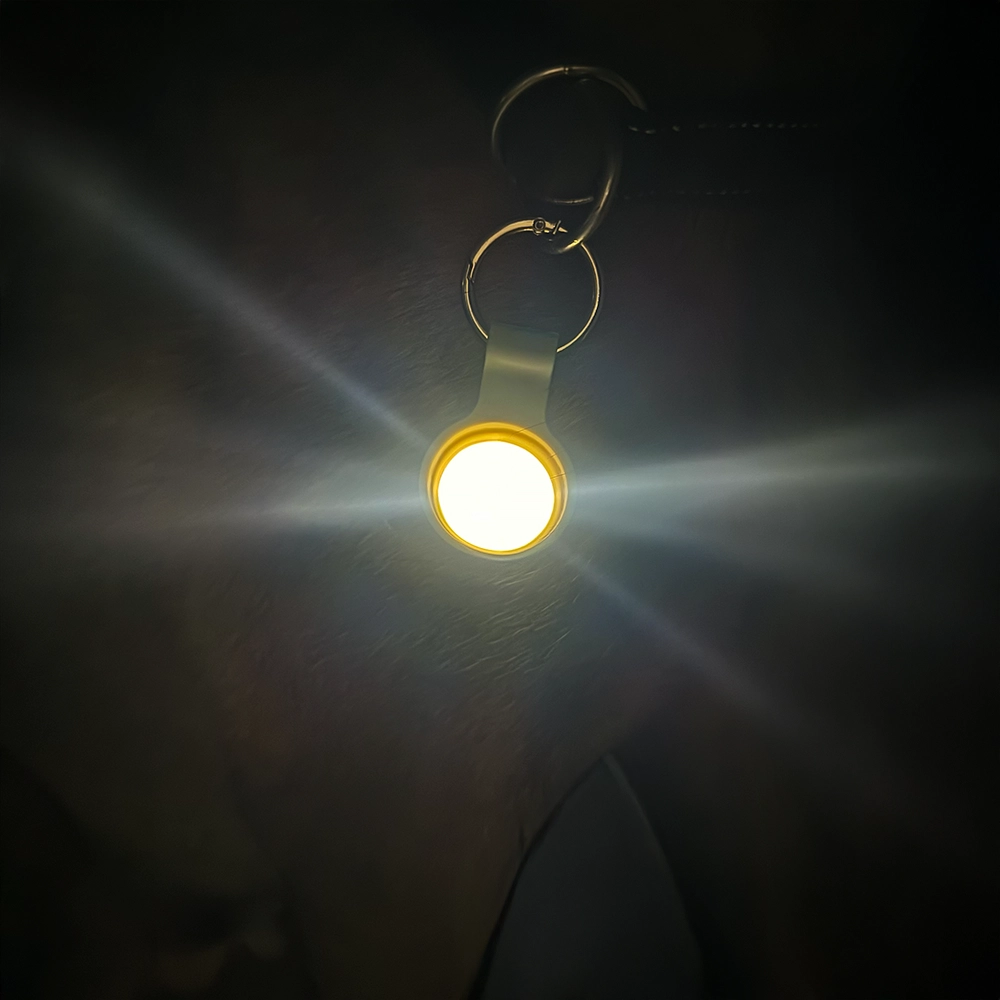 LED-lampa till hunden synas bra i mörkret