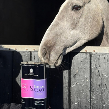CARR & DAY & MARTIN GROOMING DUO 
