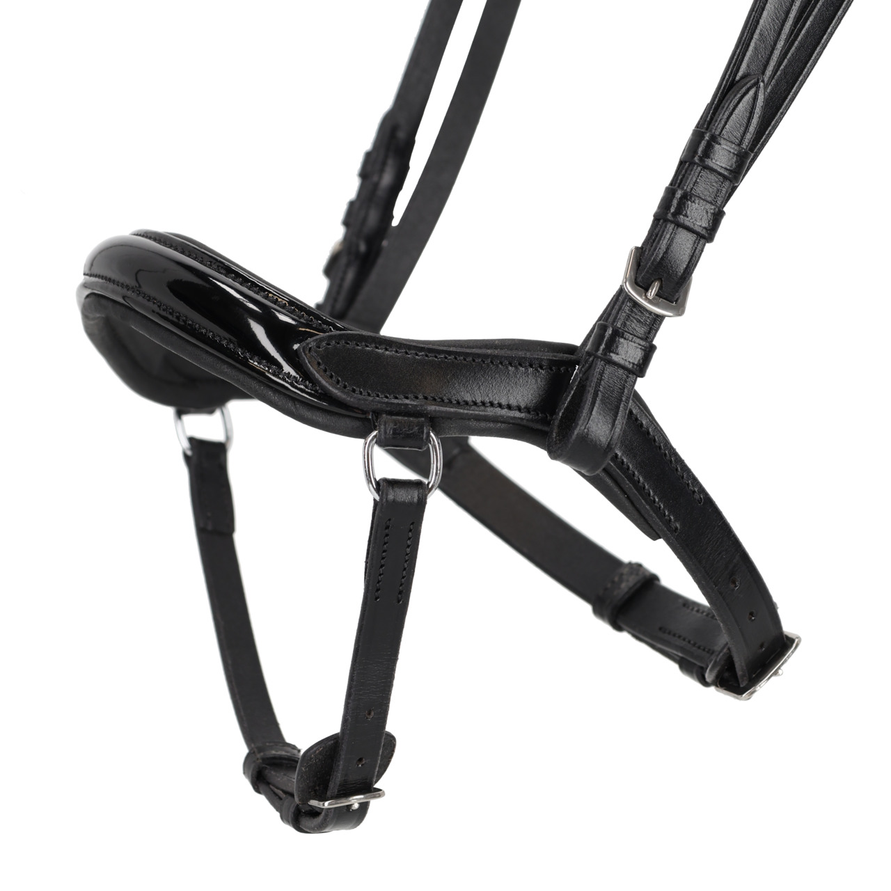 Islandsträns anatomiskt QHP Fjara - 2