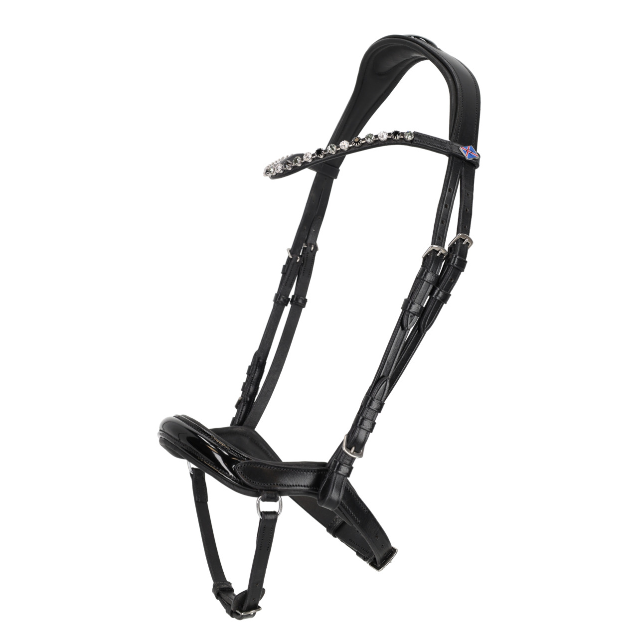 Islandsträns anatomiskt QHP Fjara - 3