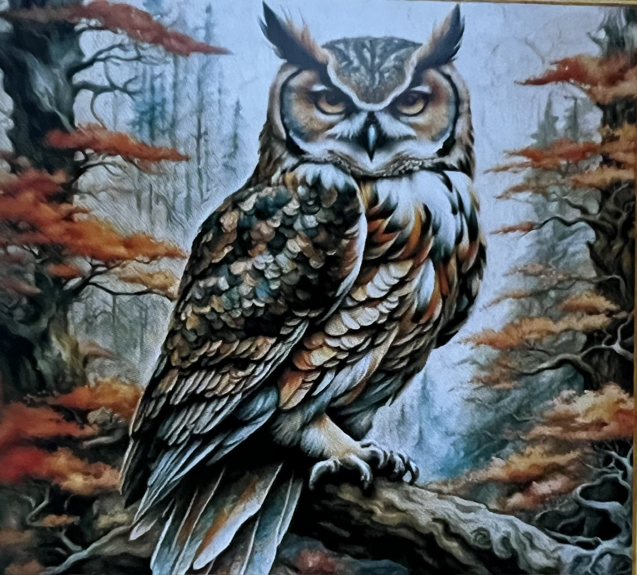 Höstuggla, Noessa, Diamond Painting