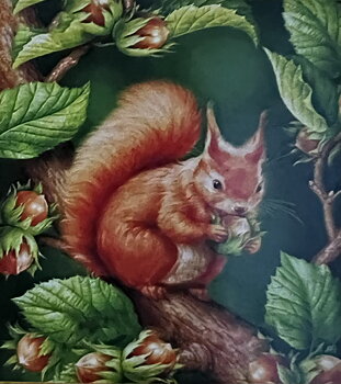 Samlande Ekorre, Noessa, Diamond Painting