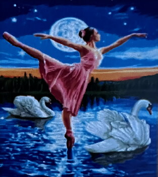Ballerina i Svansjön; Noessa, Diamond Painting