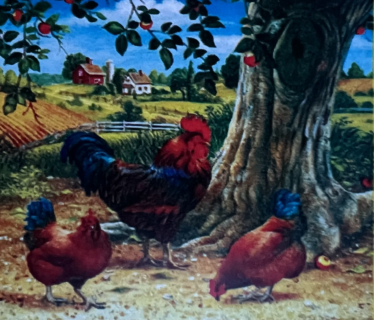 Tupp i Hönsgård, Noessa, Diamond Painting
