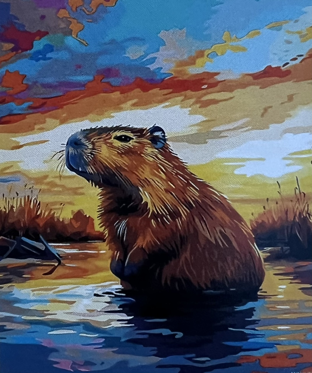 Bäver i Solnedgång, Noessa, Diamond Painting