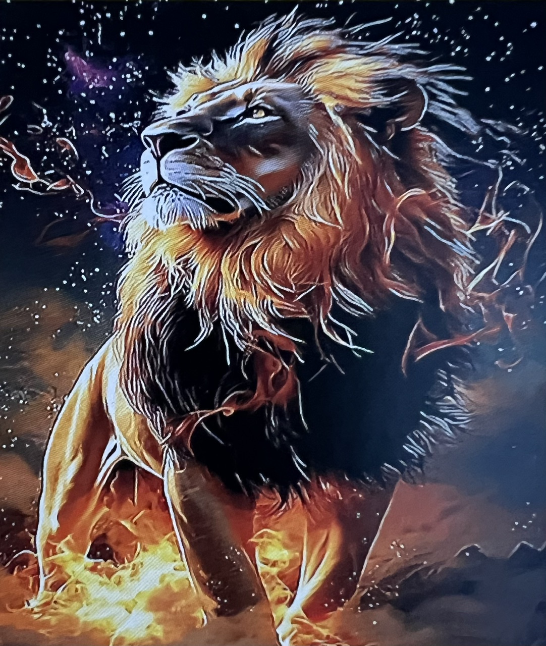 Lion King of the Savannah, Noessa, Diamond Painting